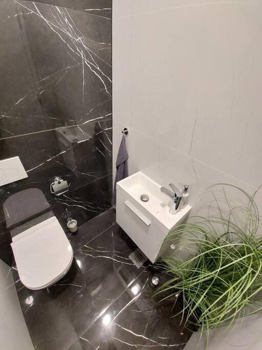 Luxury Apartment לובליאנה מראה חיצוני תמונה
